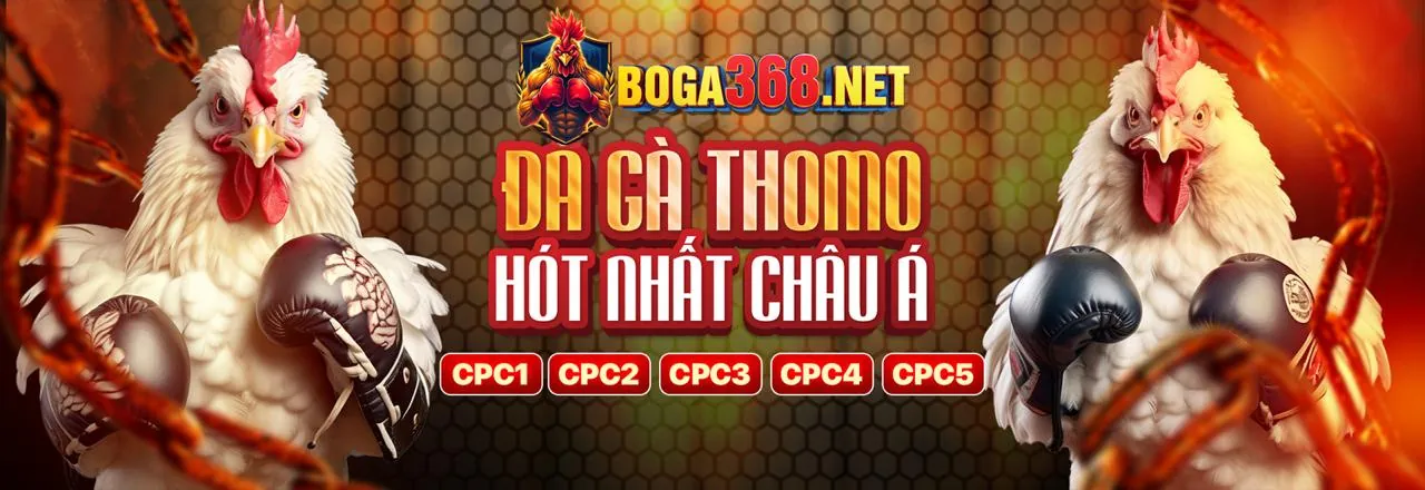 Sân chơi đá gà trực tuyến 789pp Đăng Nhập